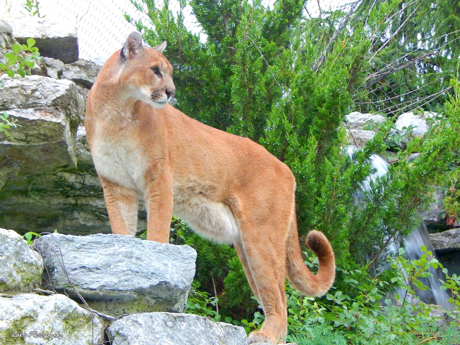 Aug. 2014 - Cat Canyon - Joseph