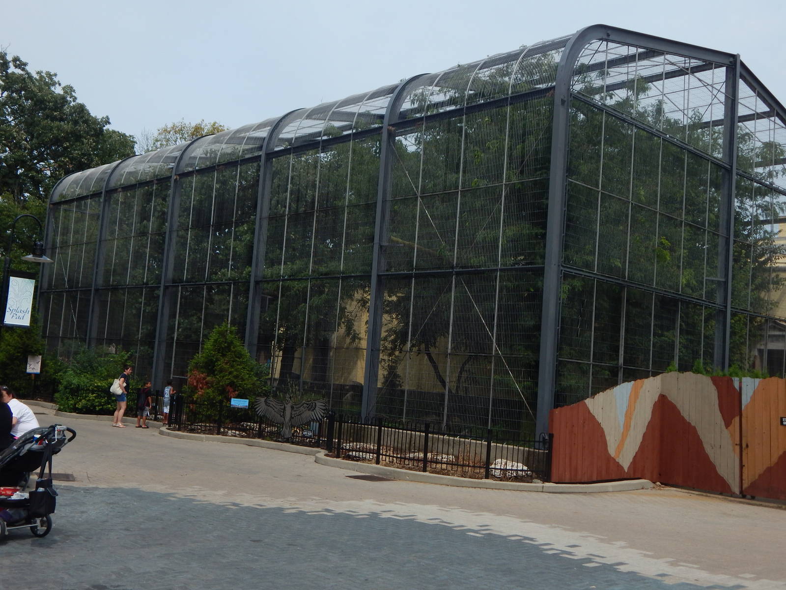 Aug. 2014 - Feathers + Scales - Andean Condor Exhibit