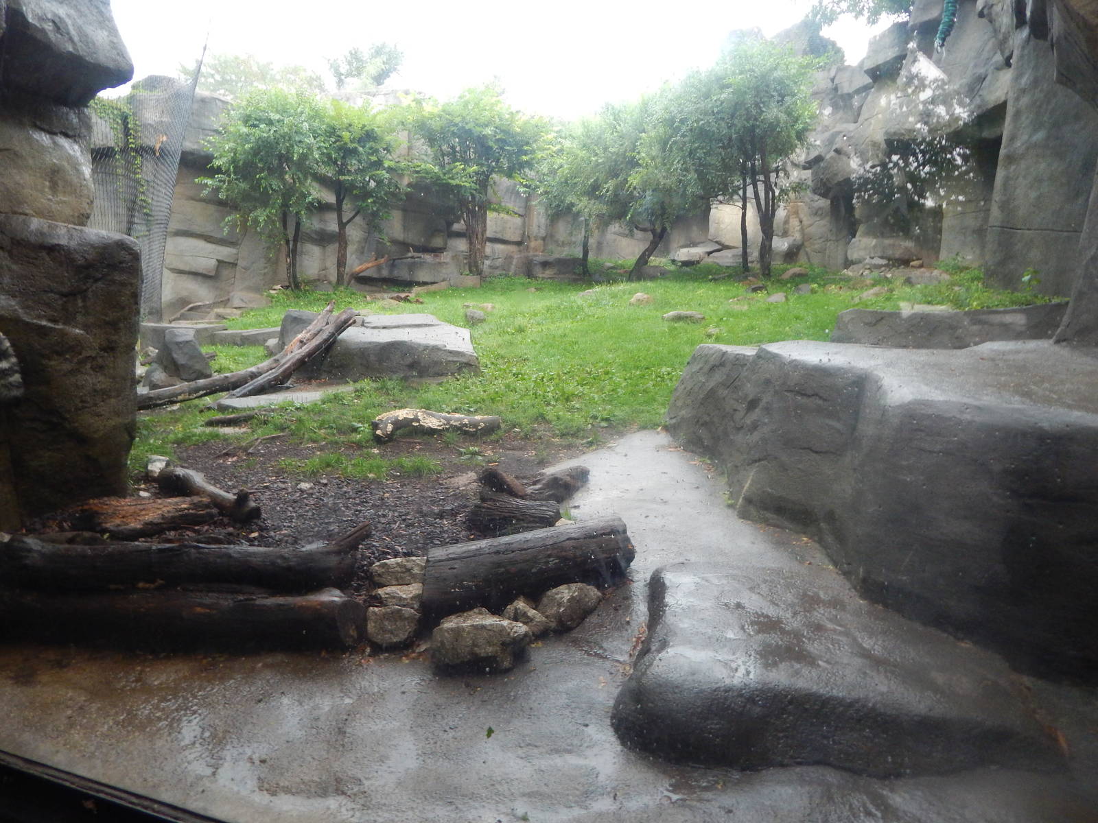 Aug. 2014 - Fragile Forest - Big Cats - Snow Leopard Exhibit