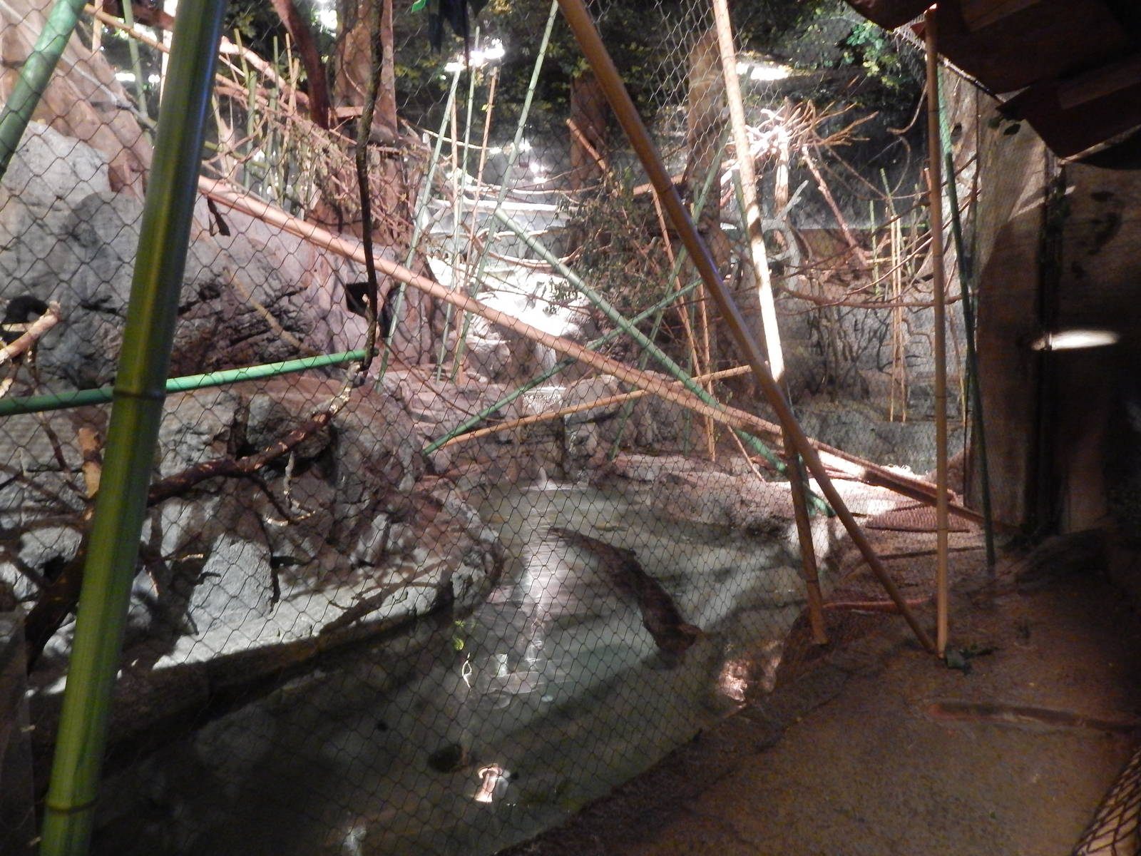 Aug. 2014 - Fragile Forest - Fragile Rain Forest - Bearcat + Squirrel + Ott