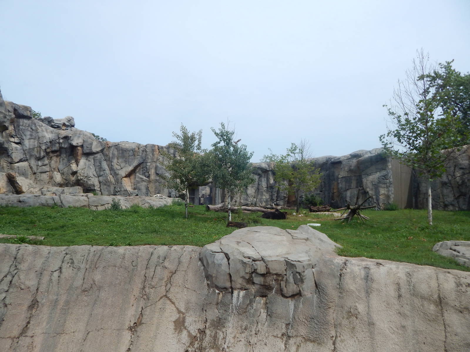 Aug. 2014 - Great Bear Wilderness - Rotational Bear Exhibit