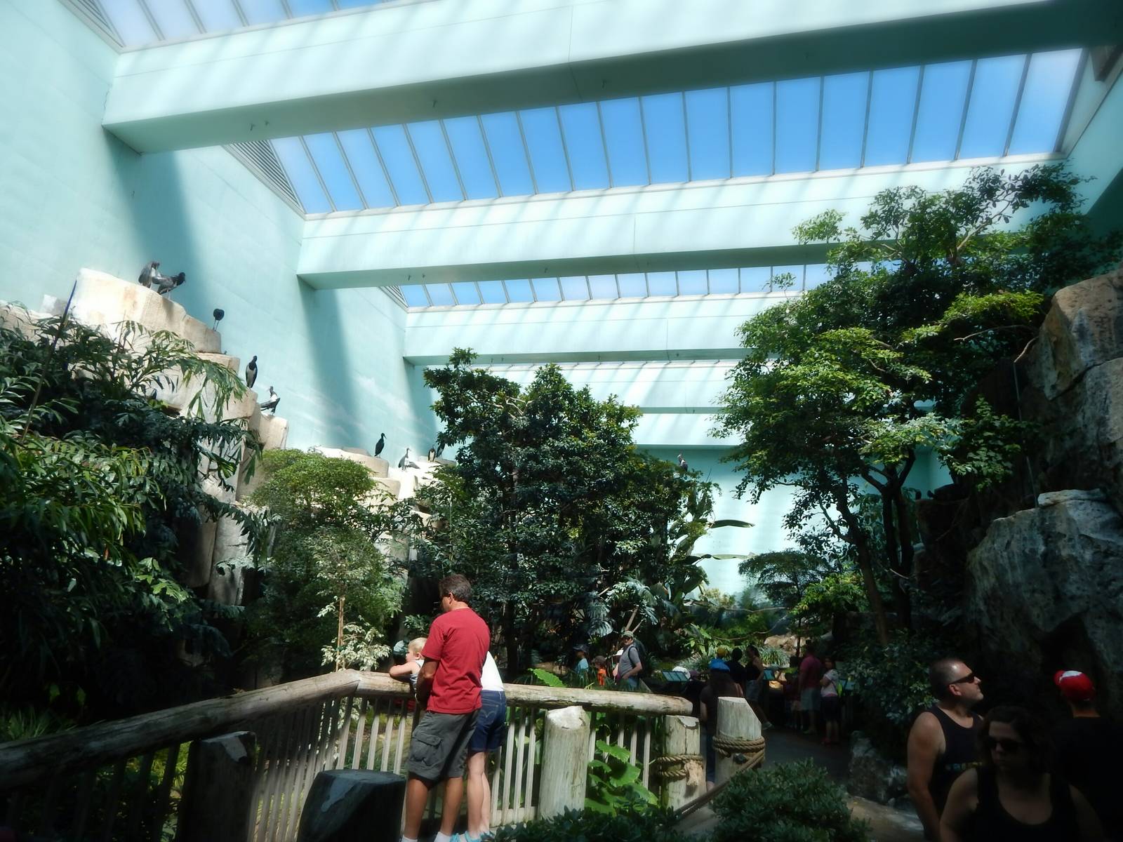 Aug. 2014 - Mahler Family Aviary - Main Walk-through Aviary (14 Species)