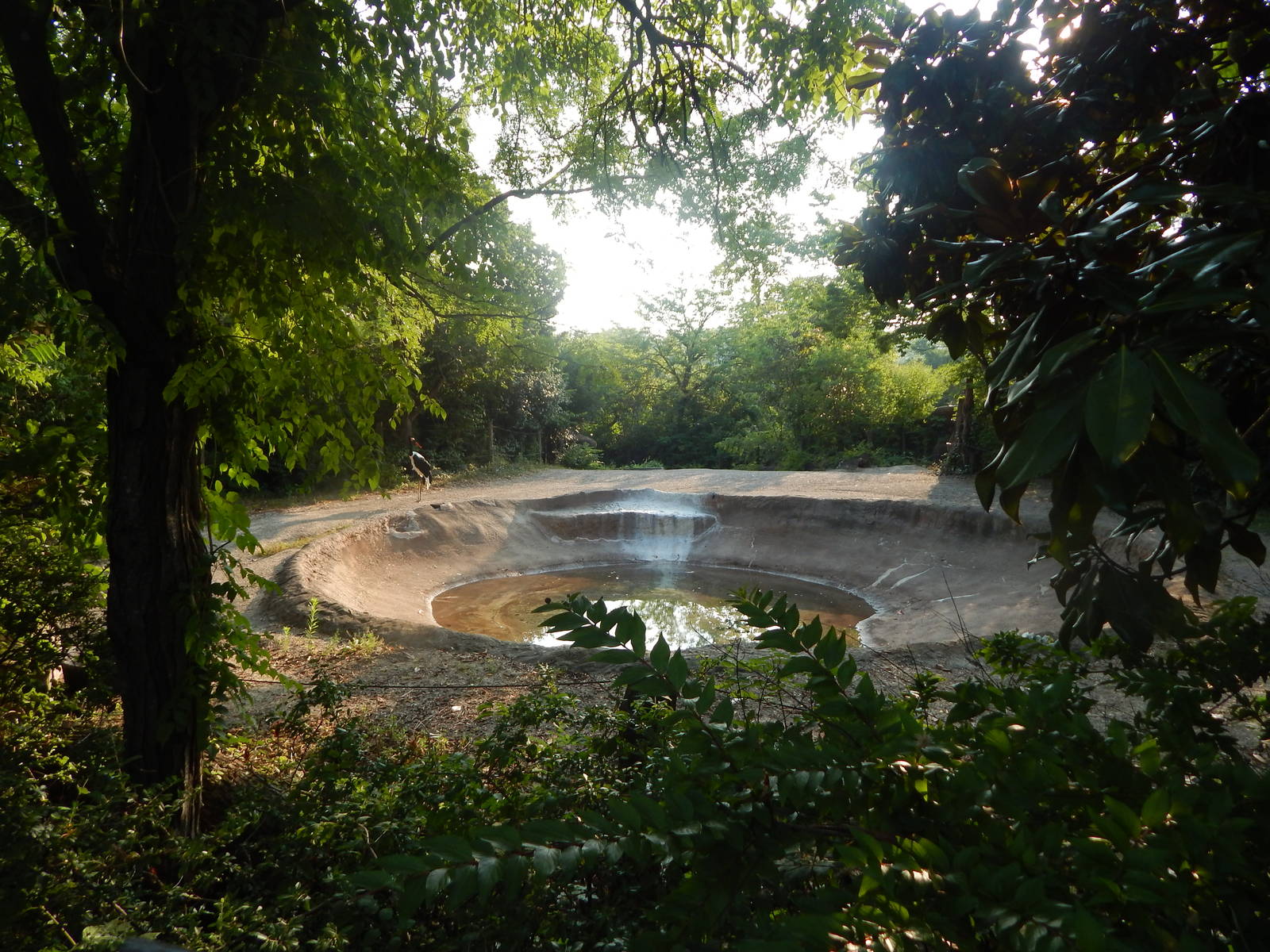 Aug. 2014 - Rhino Reserve - Saddle-billed Stork Exhibit (Temporary)