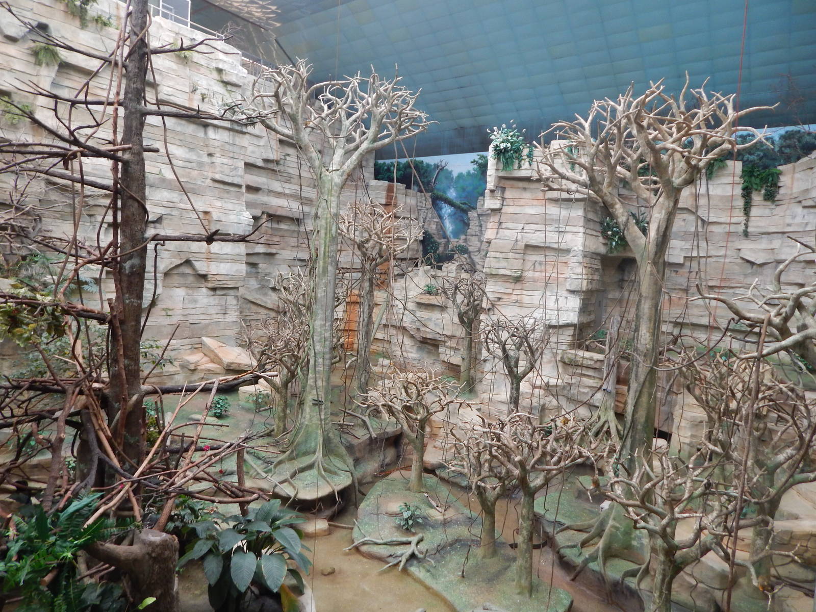 Aug. 2014 - Tropic World - South America (9 Species)