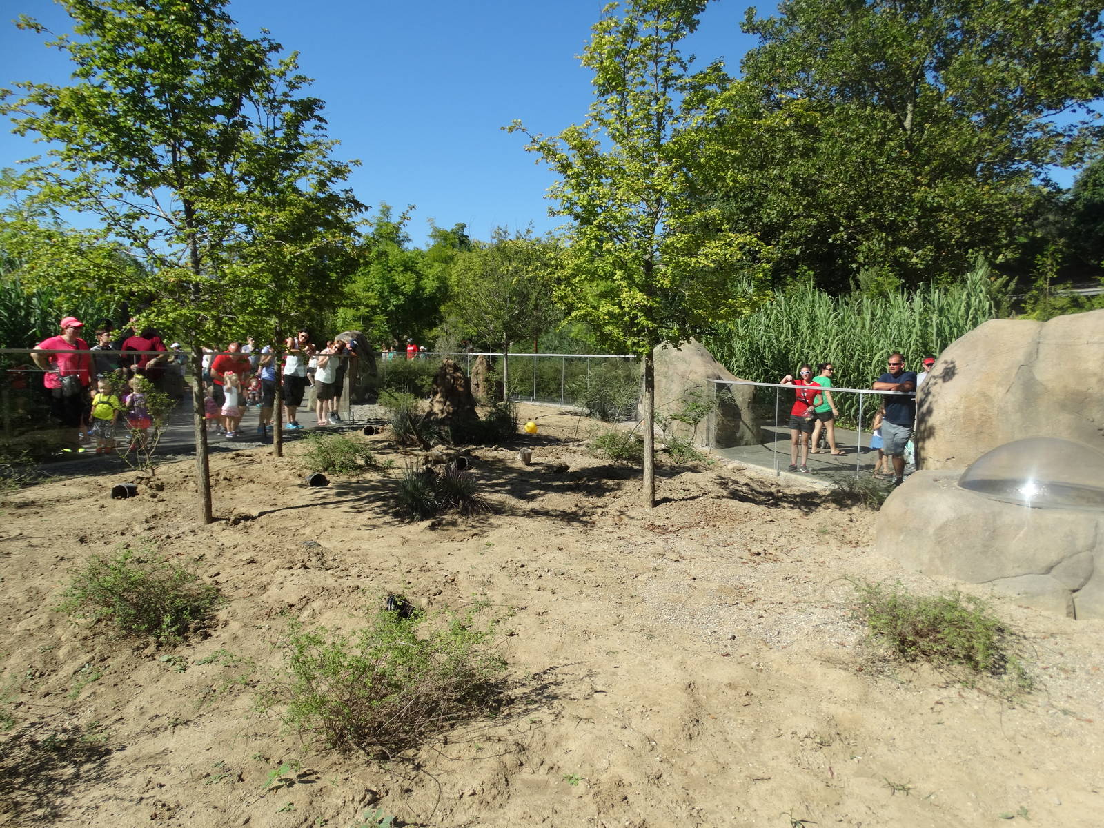 Aug. 2015 - Africa - Meerkat Exhibit (New)
