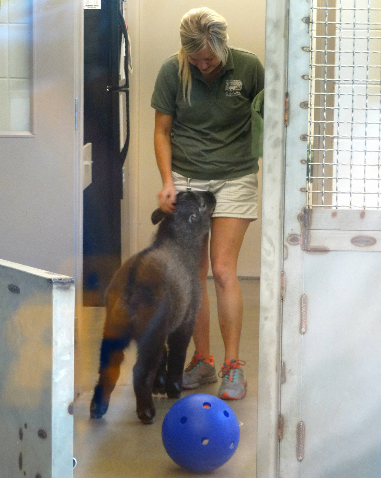 Aug. 2015 - Children's Zoo - Playtime with Dale