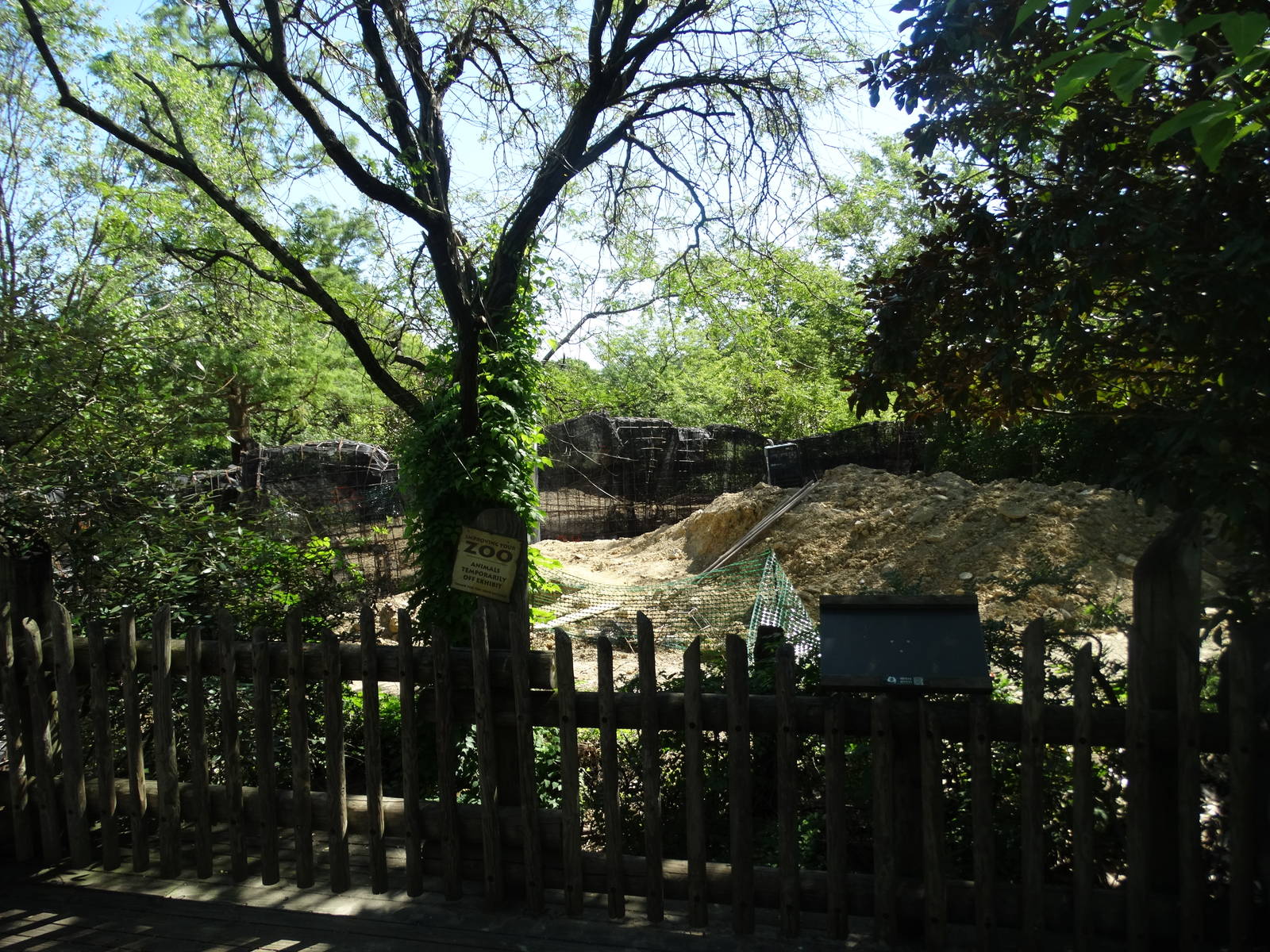 Aug. 2015 - Rhino Reserve - Future Male Black Rhino Exhibit