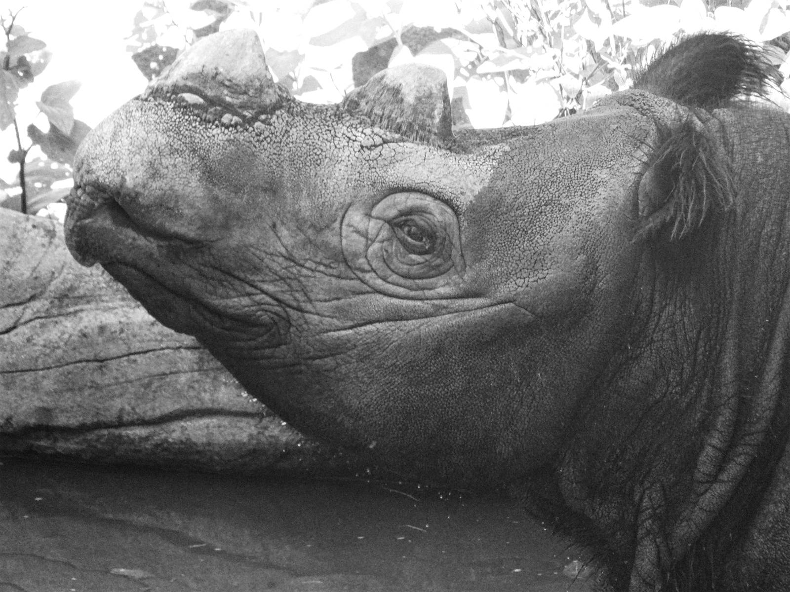 Aug. 2015 - Wildlife Canyon - Harapan