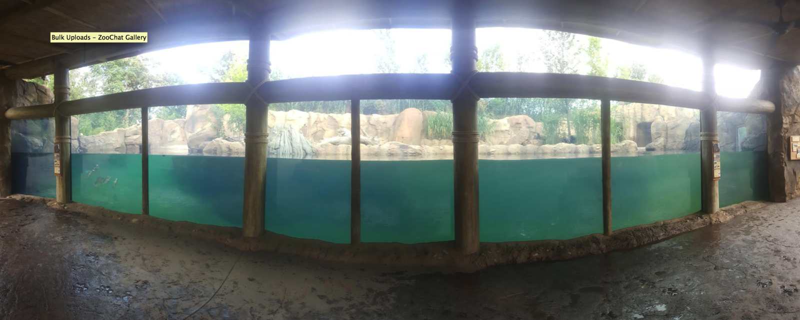 Aug. 2016 - Africa - Hippo Cove Panorama