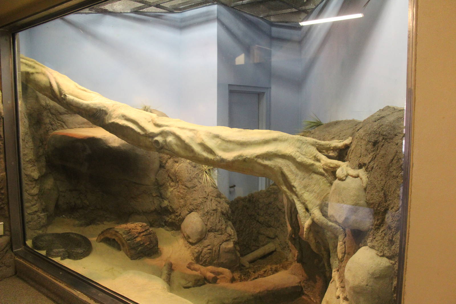 Aug. 2016 - African Elephant Crossing - African Rock Python Exhibit