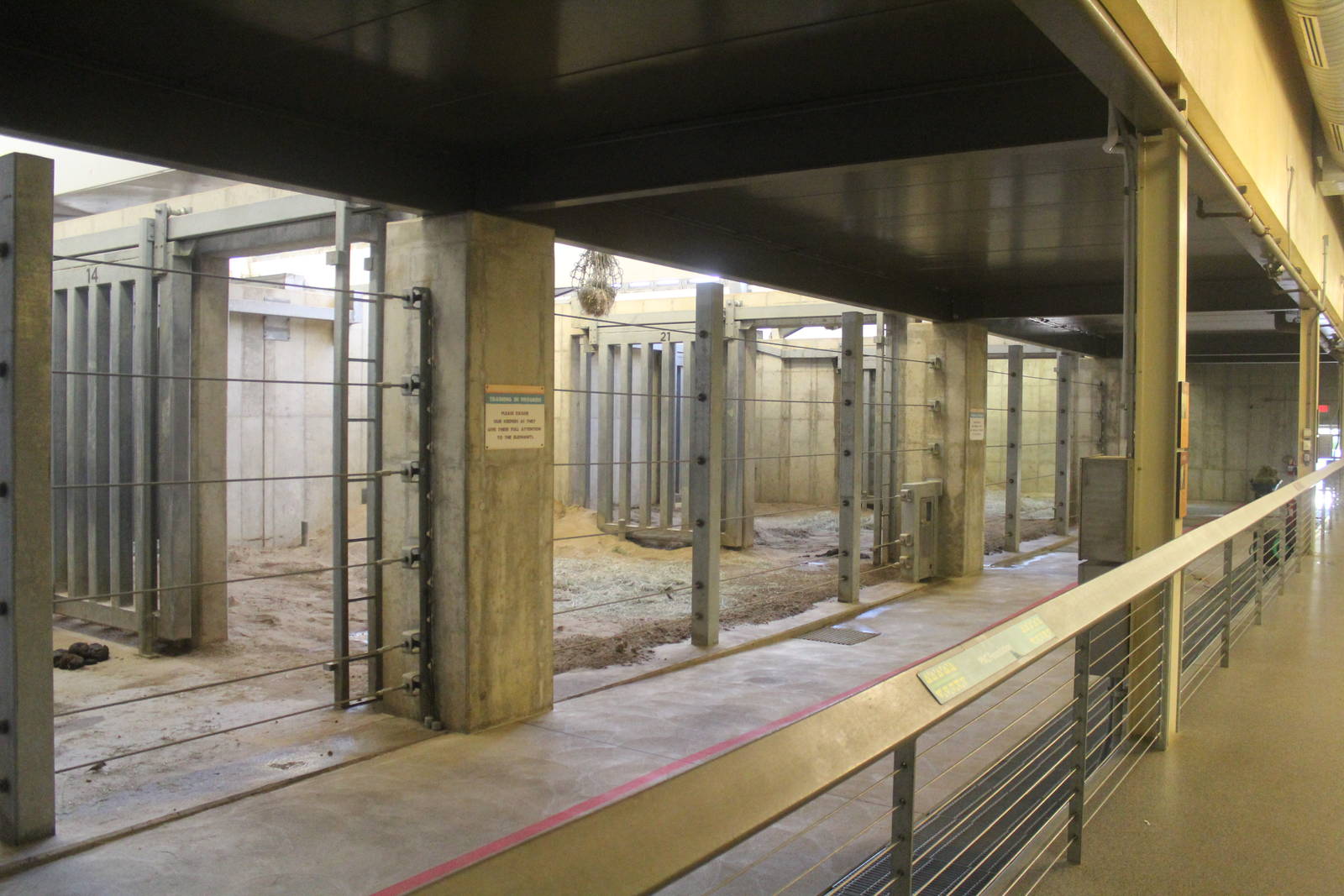 Aug. 2016 - African Elephant Crossing - Indoor Quarters