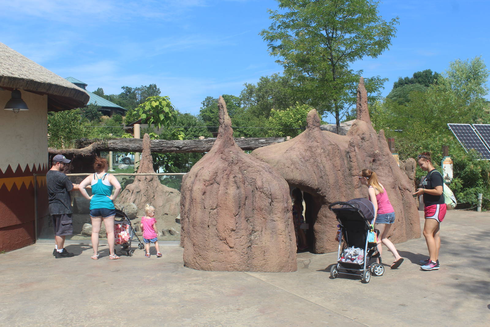 Aug. 2016 - African Elephant Crossing - Meerkat Exhibit