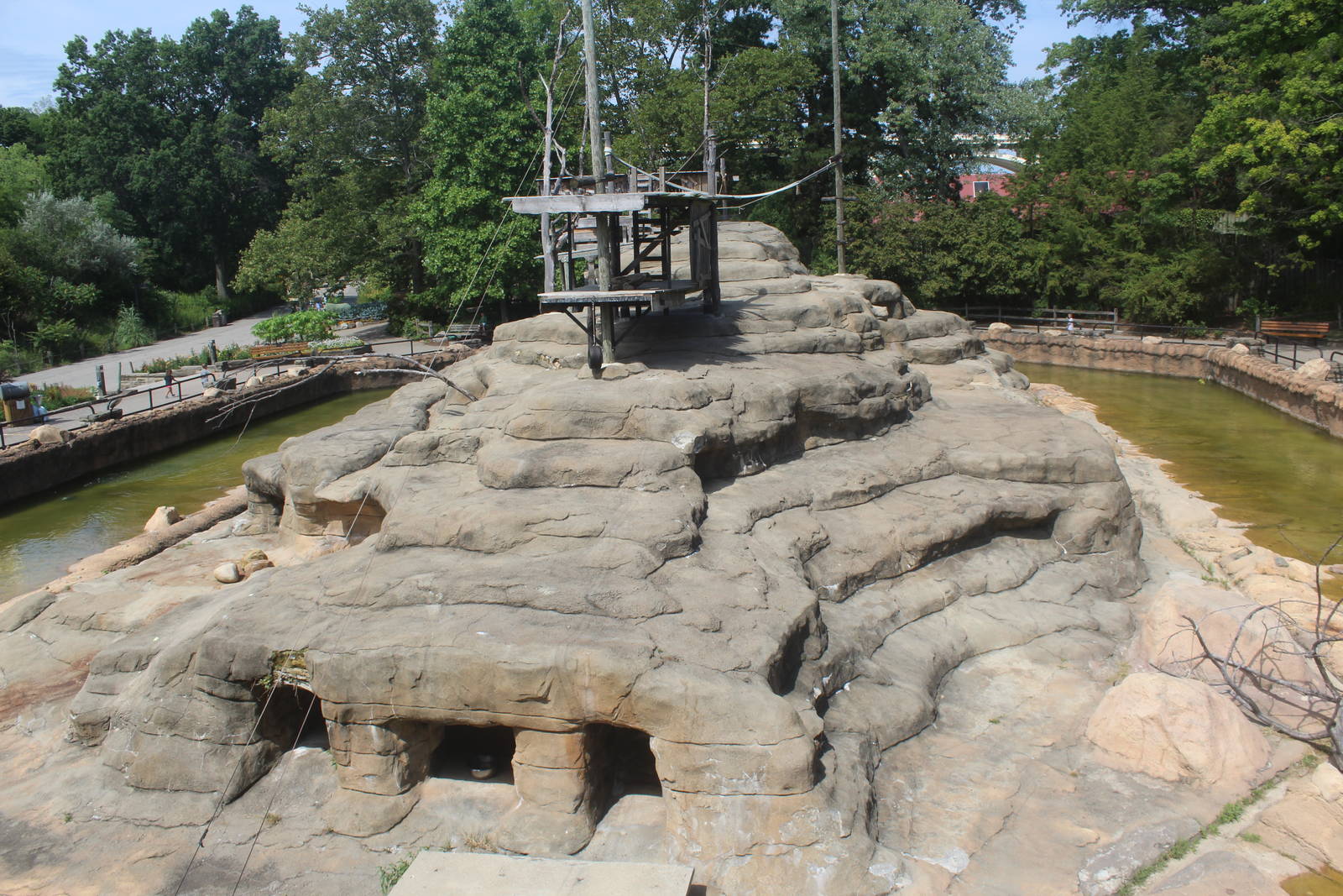 Aug. 2016 - African Savannah - Colobus + Klipspringer Exhibit