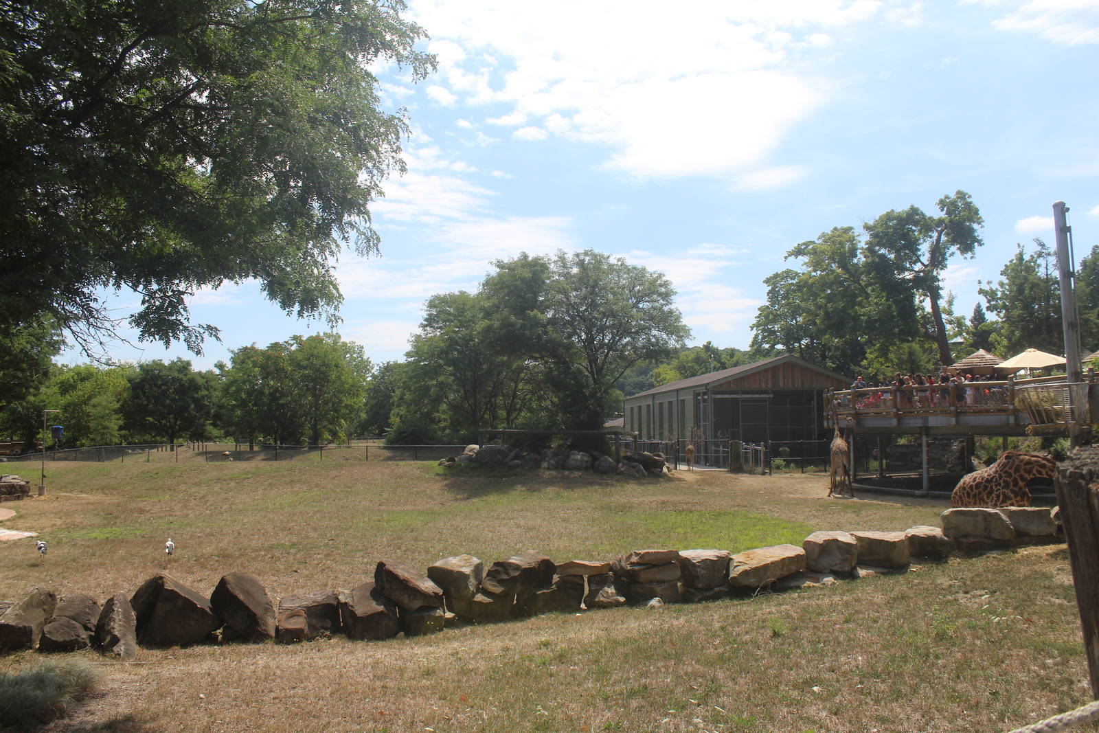Aug. 2016 - African Savannah - Third Savanna Exhibit (4 Species)
