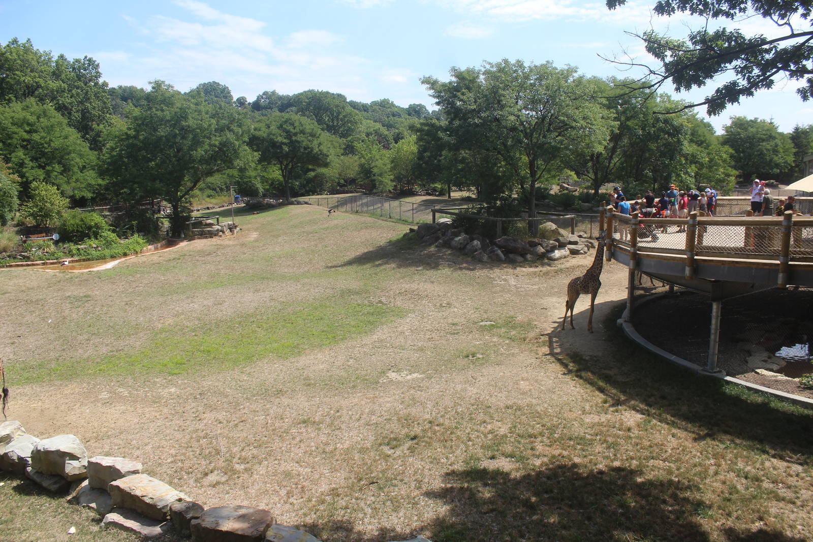 Aug. 2016 - African Savannah - Third Savanna Exhibit (4 Species)