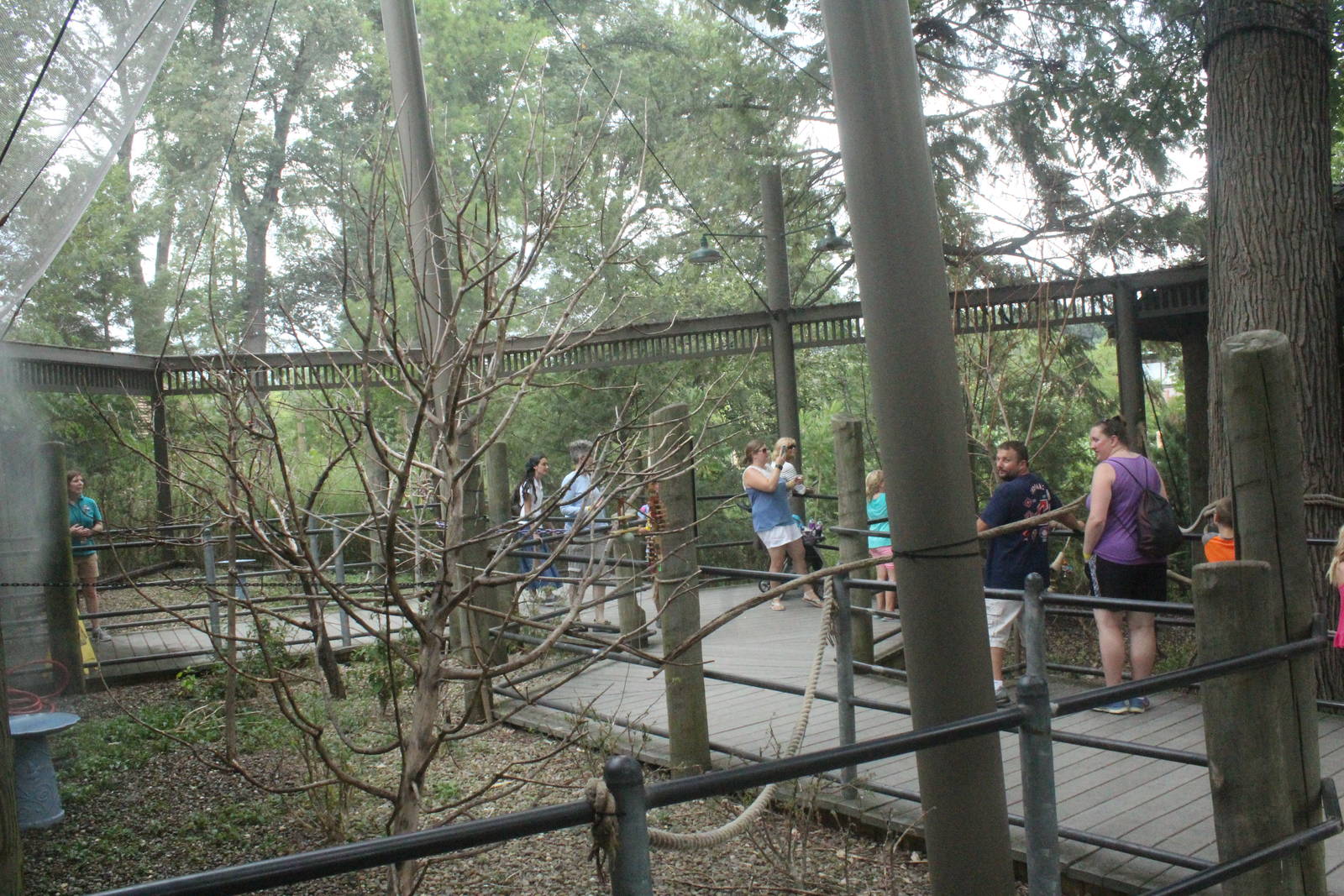 Aug. 2016 - Australian Adventure - Lorikeet Lane