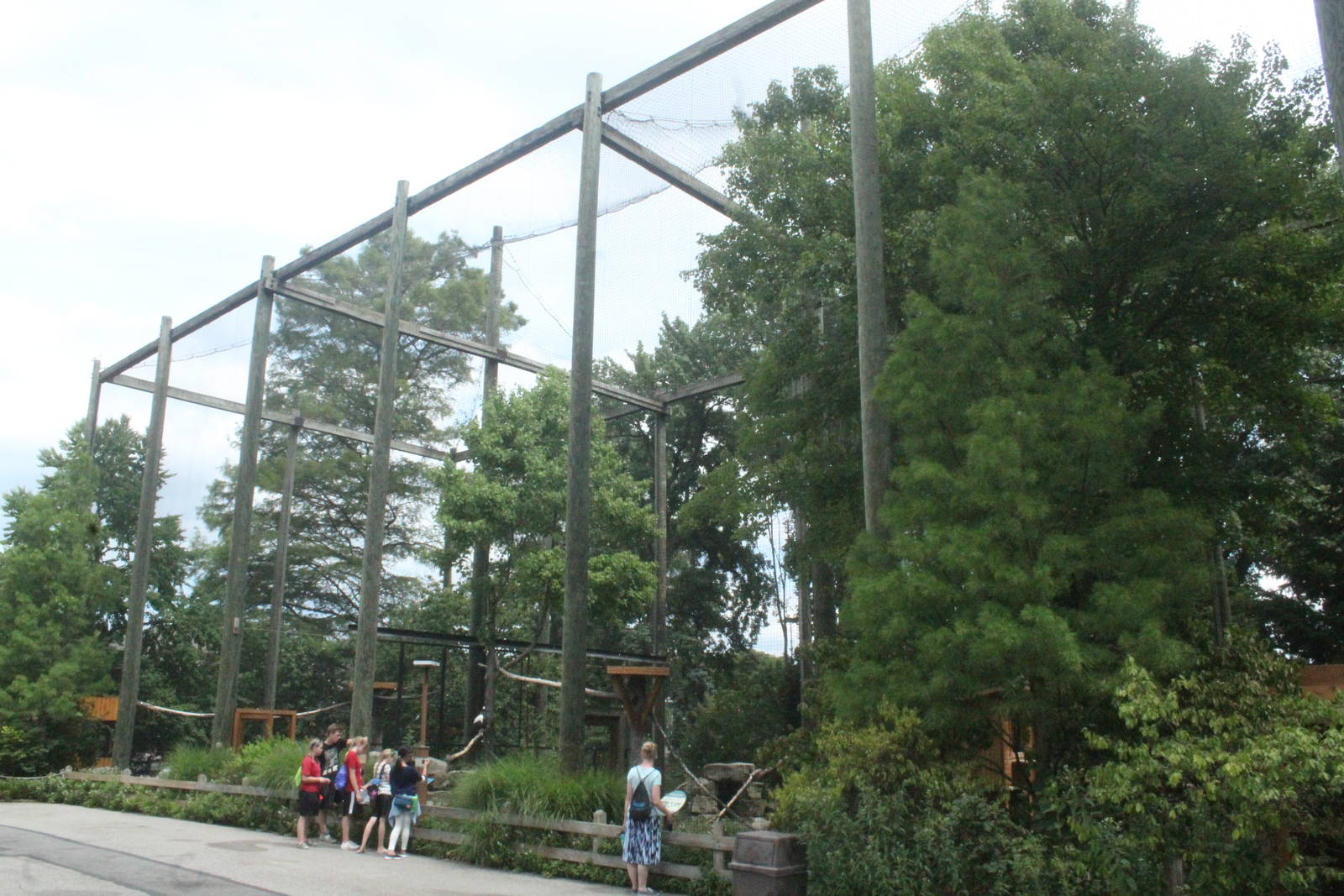 Aug. 2016 - Birds of Prey