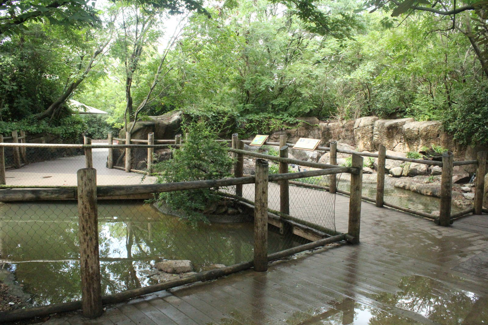 Aug. 2016 - Children's Zoo - Penguin Walkabout