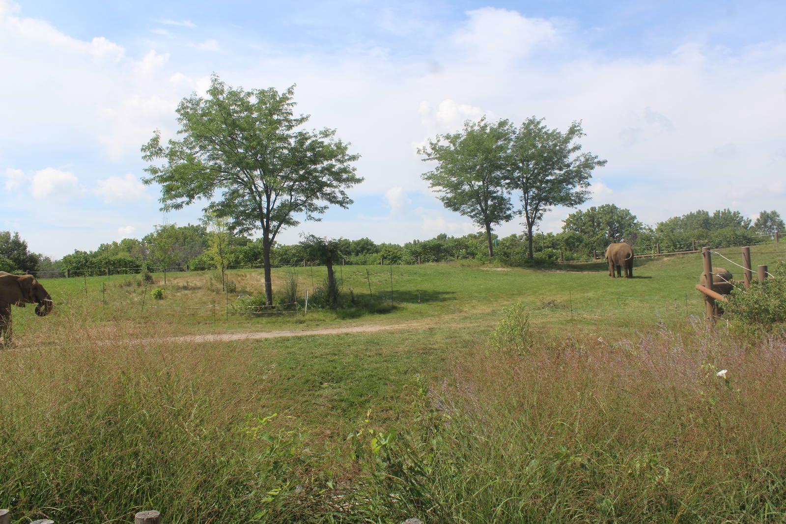 Aug. 2016 - Plains - Right Elephant Exhibit (Half of It)