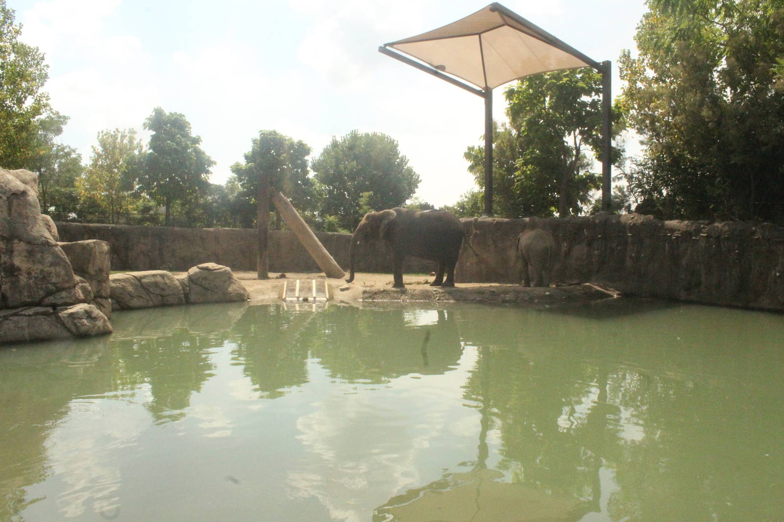 Aug. 2016 - Plains - Second Elephant Exhibit