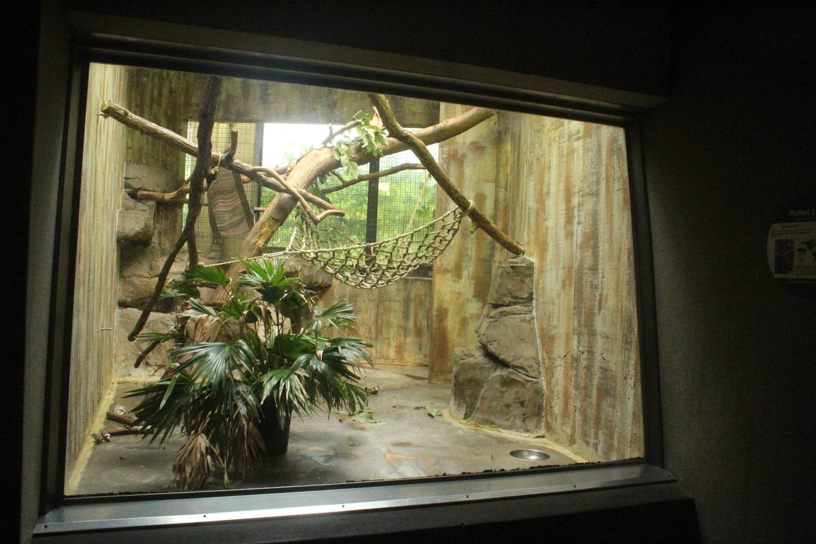 Aug. 2016 - Primates + Cats and Aquatics - Red Ruffed Lemur Exhibit