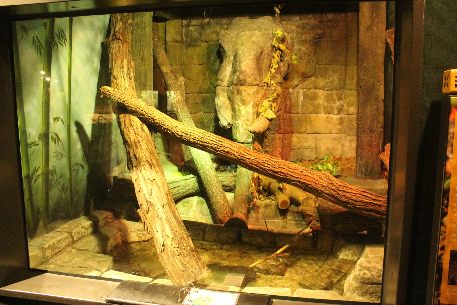 Aug. 2016 - The Rain Forest - Lower Forest - Burmese Python Exhibit