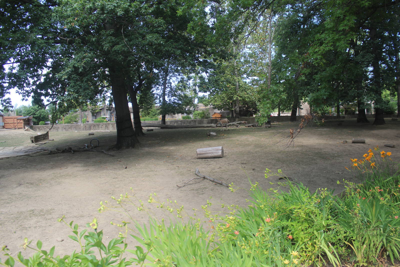 Aug. 2016 - Wilderness Trek - Persian Onager Exhibit