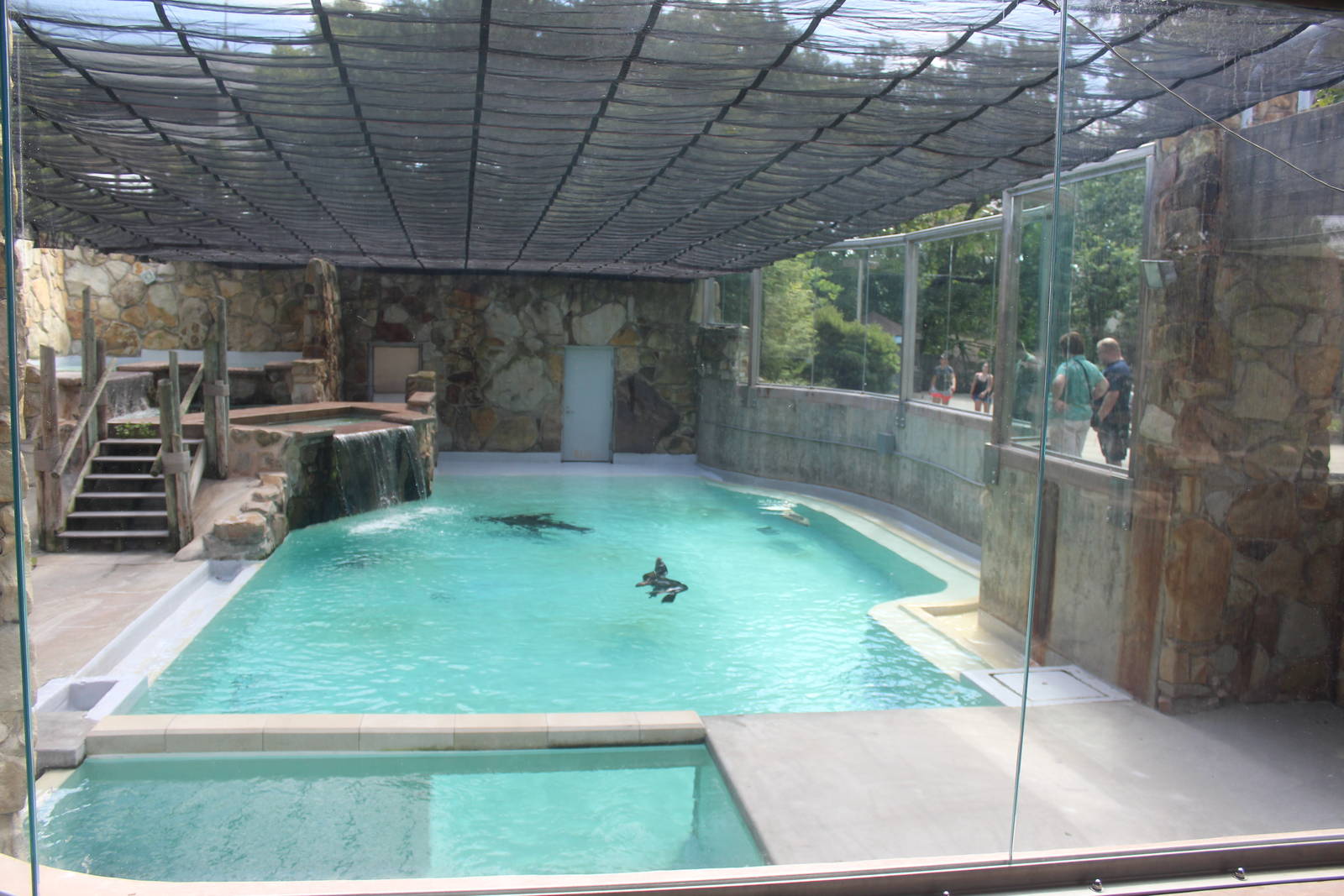 Aug. 2016 - Wilderness Trek - Sea Lion + Harbor Seal Exhibit