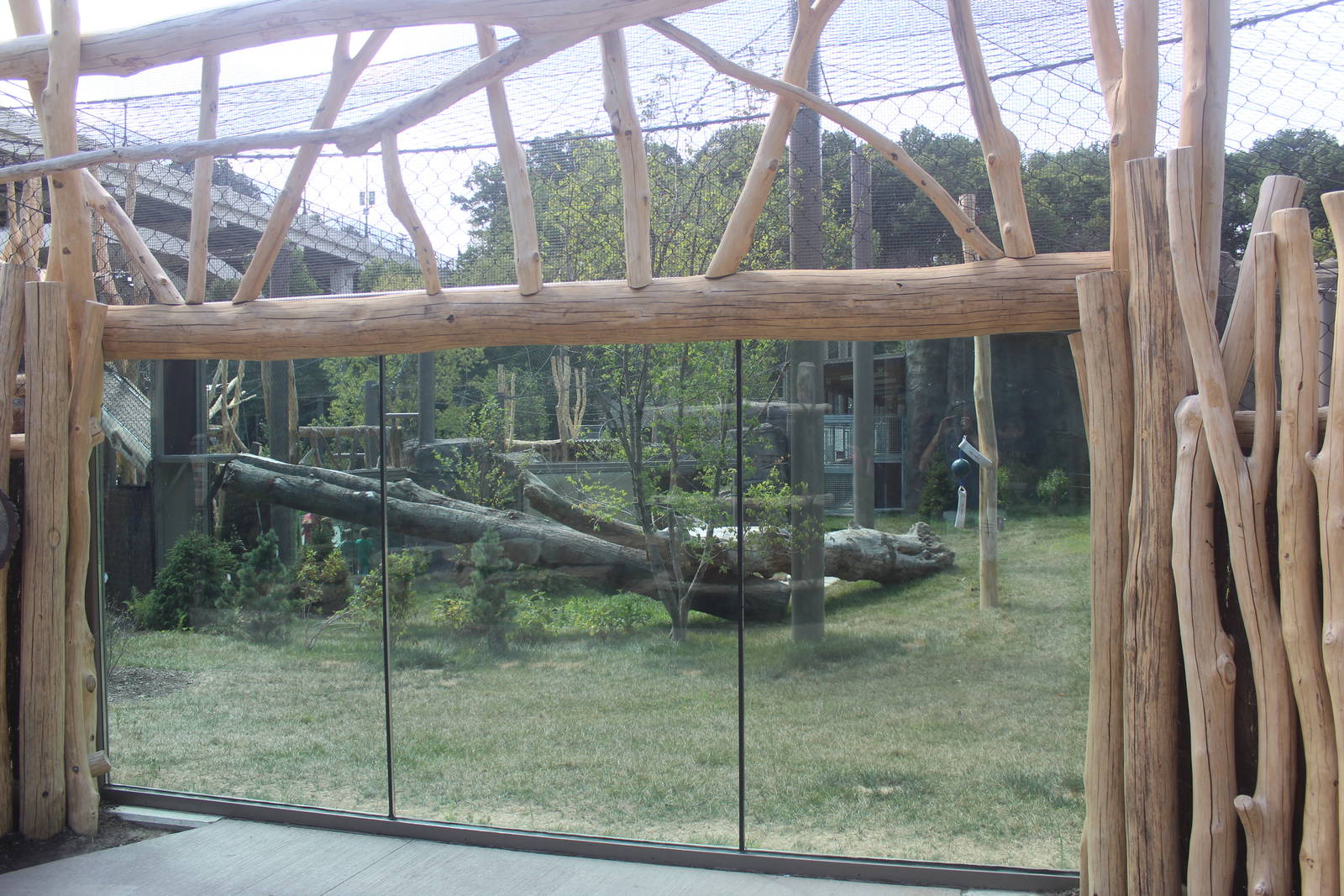 Aug. 2016 - Wilderness Trek - Tiger Passage - Meadow Habitat