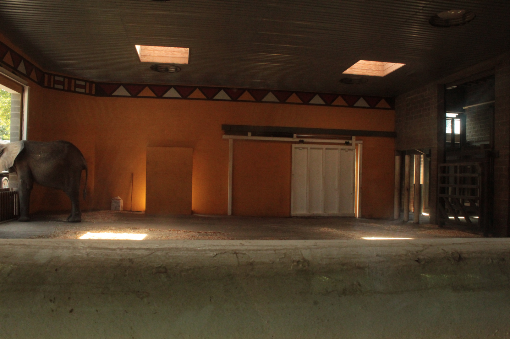 Aug. 2017 - African Savanna - Elephant Indoor Exhibit