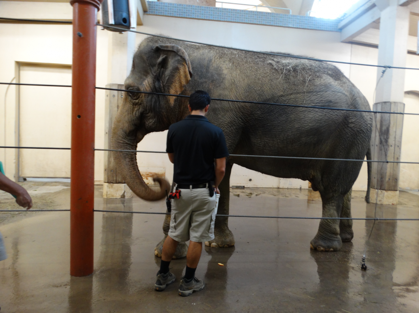 Aug. 2017 - Elephant Reserve - Schottzie's Bath