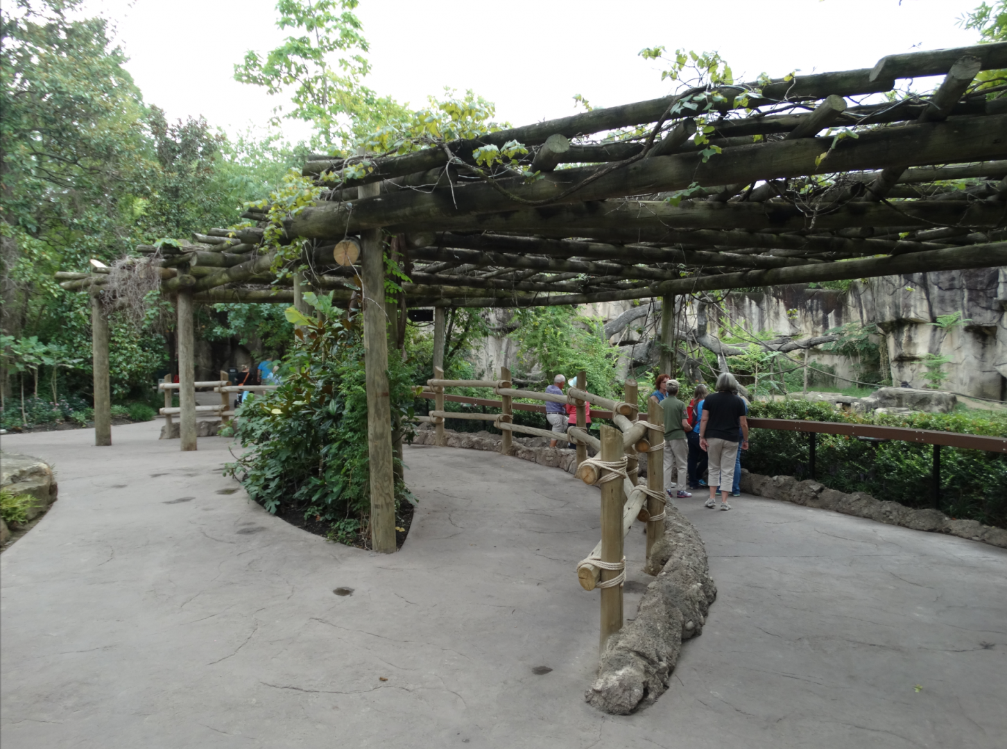 Aug. 2017 - Gorilla World - Renovated Gorilla Viewing