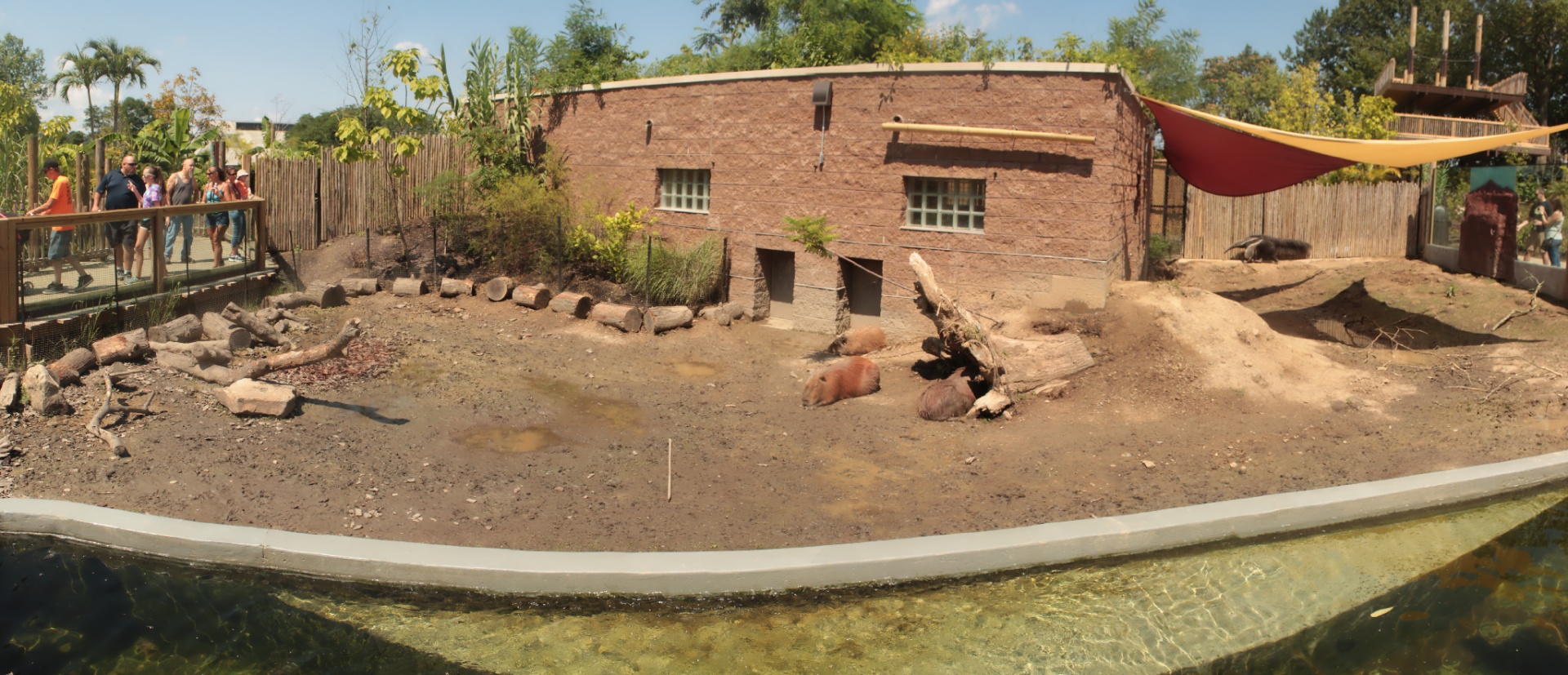 Aug. 2017 - Jungle Odyssey - Capybara/Anteater Exhibit