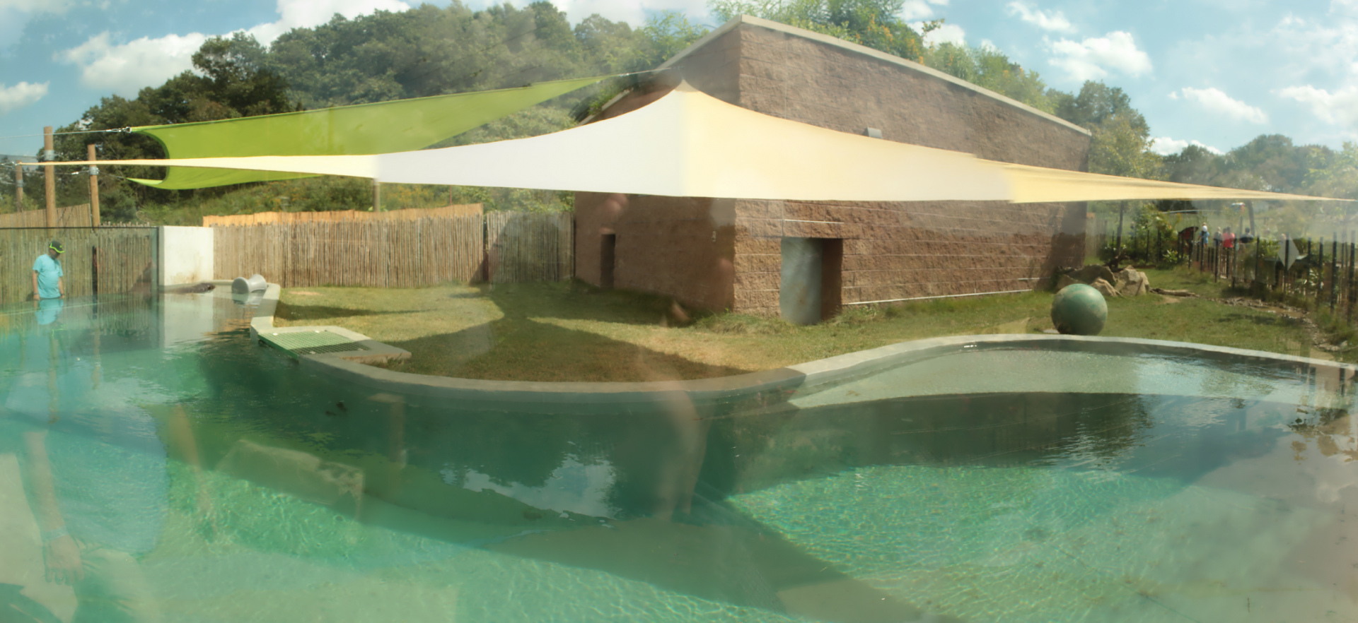 Aug. 2017 - Jungle Odyssey - Pygmy Hippo Exhibit Panorama