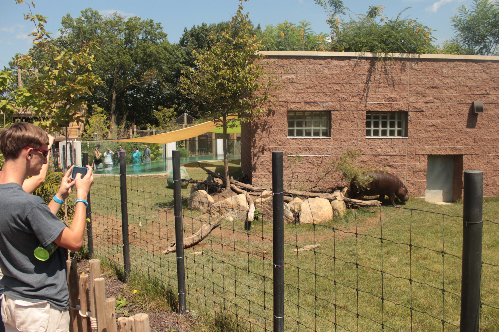Aug. 2017 - Jungle Odyssey - Pygmy Hippo Exhibit