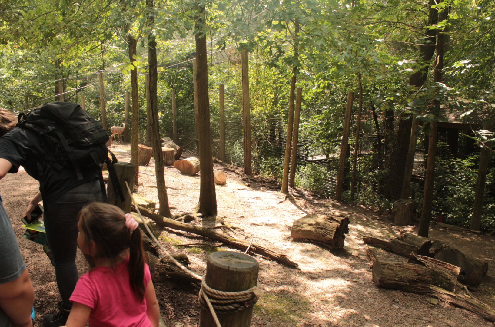 Aug. 2017 - Kids Kingdom - Walkthrough White-tailed Deer Exhibit