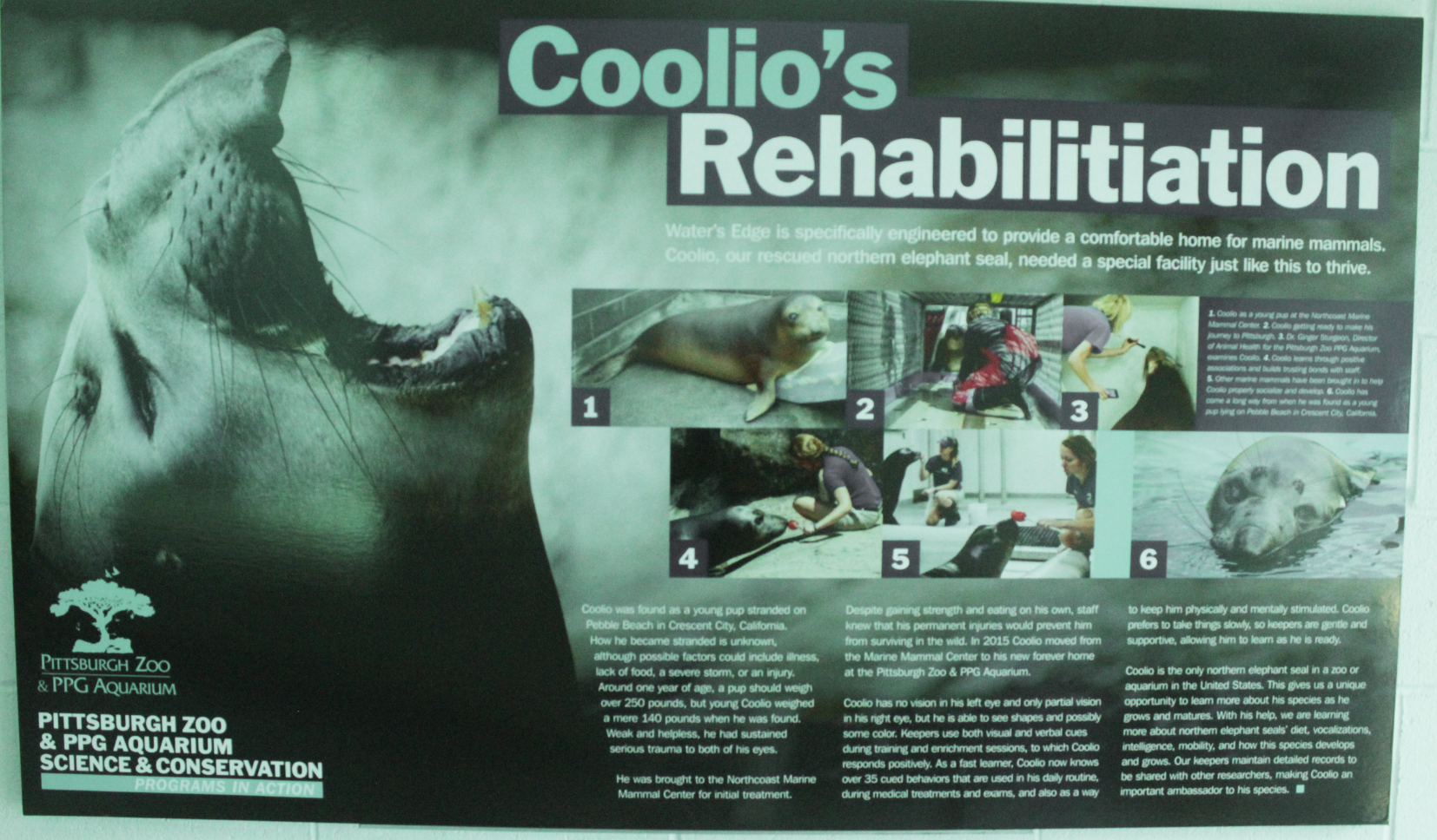 Aug. 2017 - Water's Edge - Coolio's Story