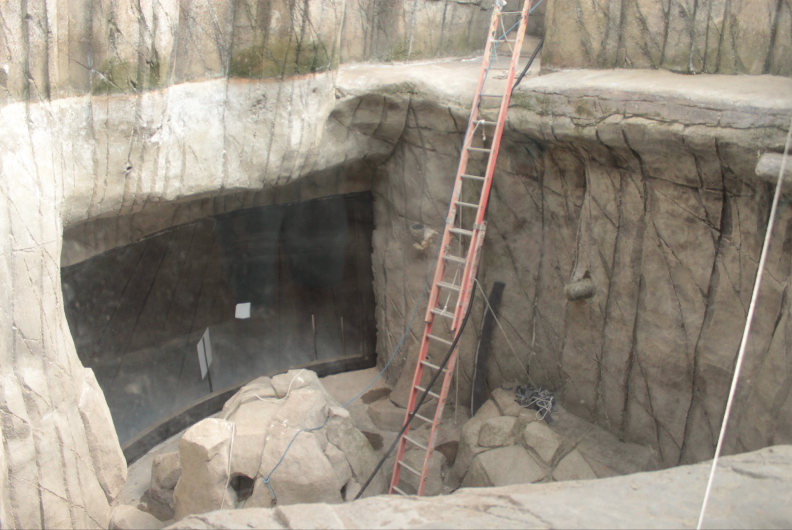 Aug. 2017 - Water's Edge - First Sea Otter Exhibit