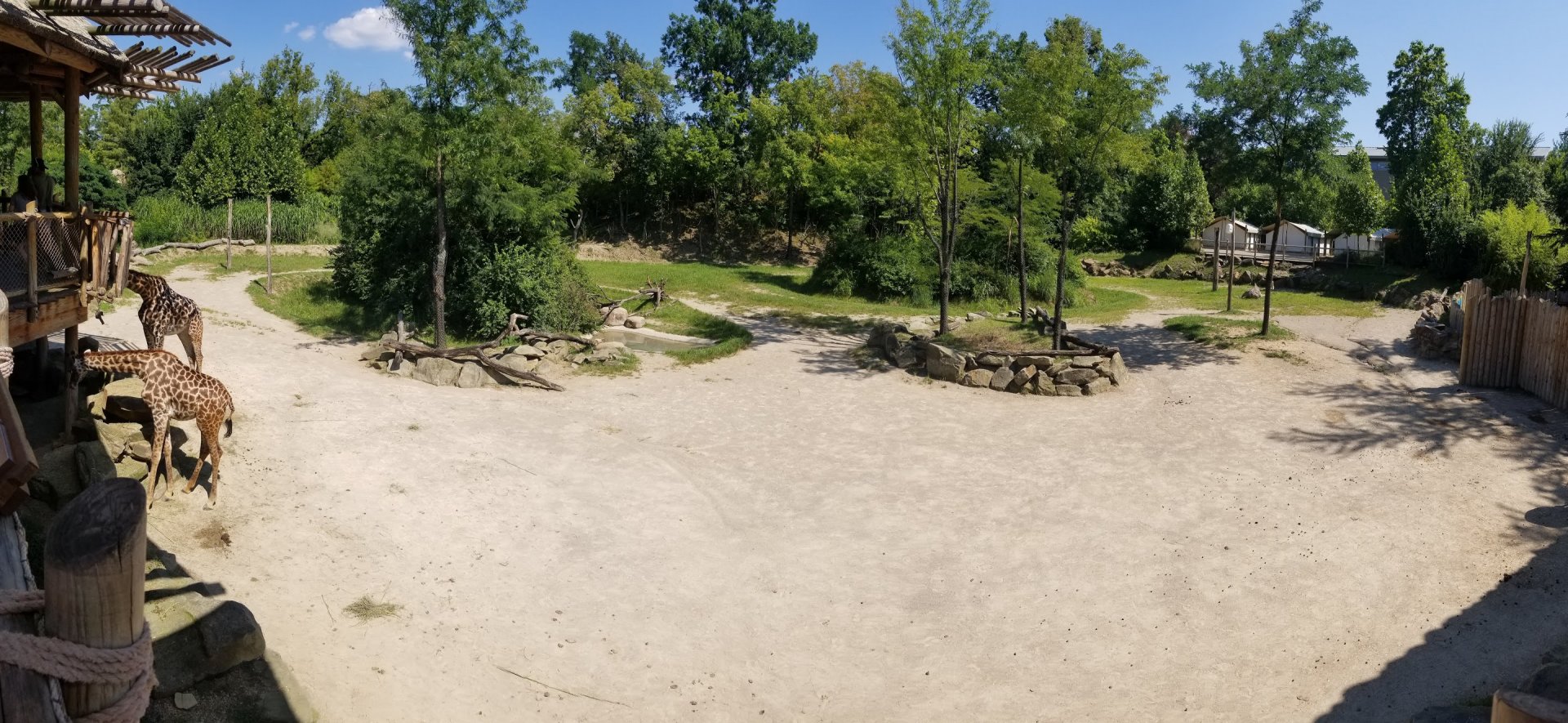 Aug. 2018 - Africa - 35,000 Sq Ft Masai Giraffe Exhibit Panorama