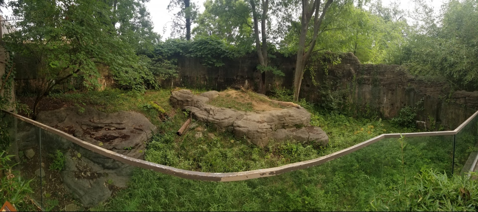 Aug. 2018 - Dragons! - Komodo Dragon Exhibit Panorama