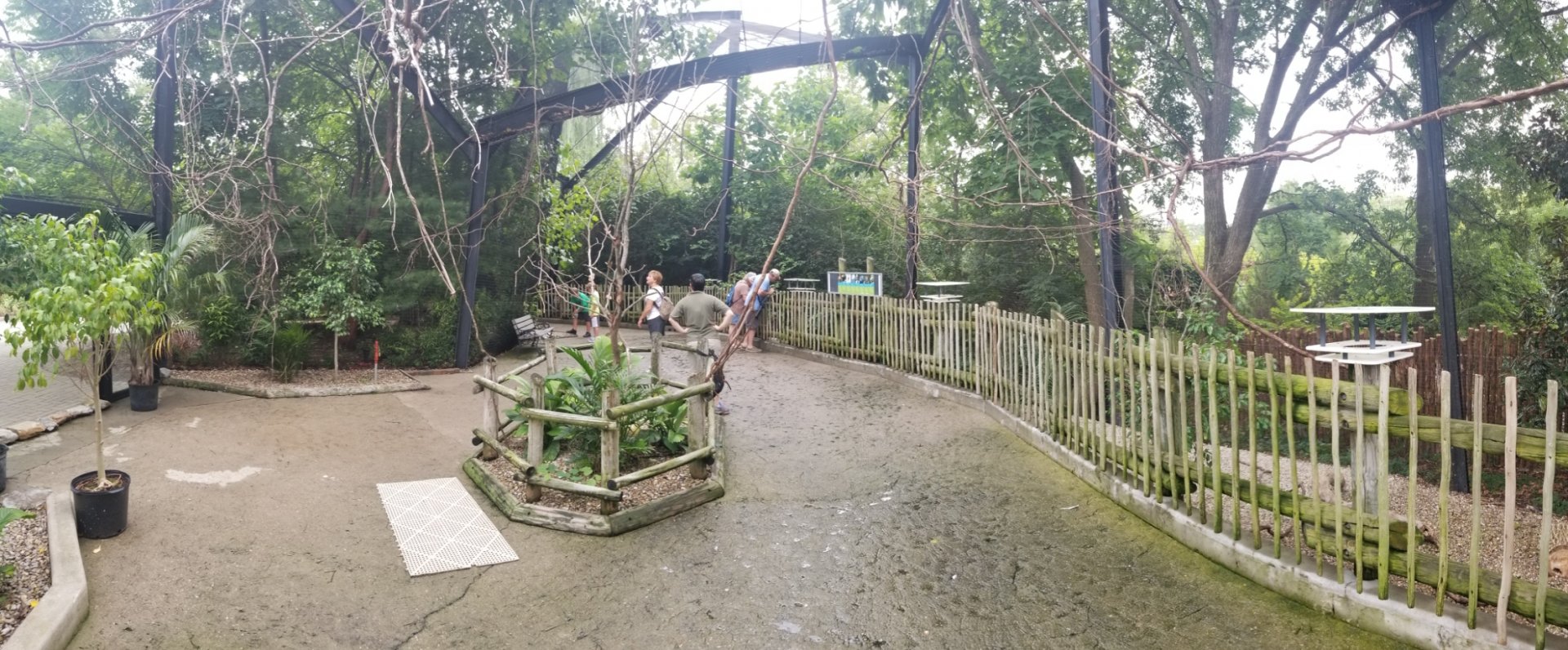 Aug. 2018 (Newly Reopened) Free Flight Aviary (12 Species)
