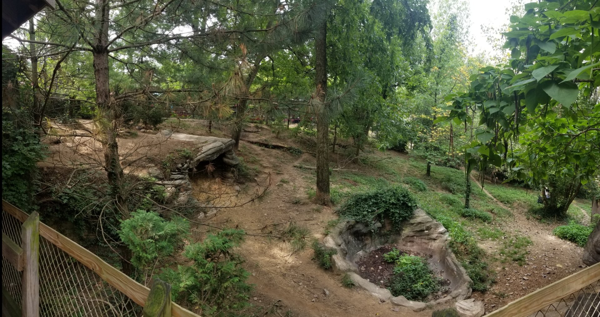 Aug. 2018 - Wolf Woods - 13,000 sq ft Mexican Wolf Exhibit