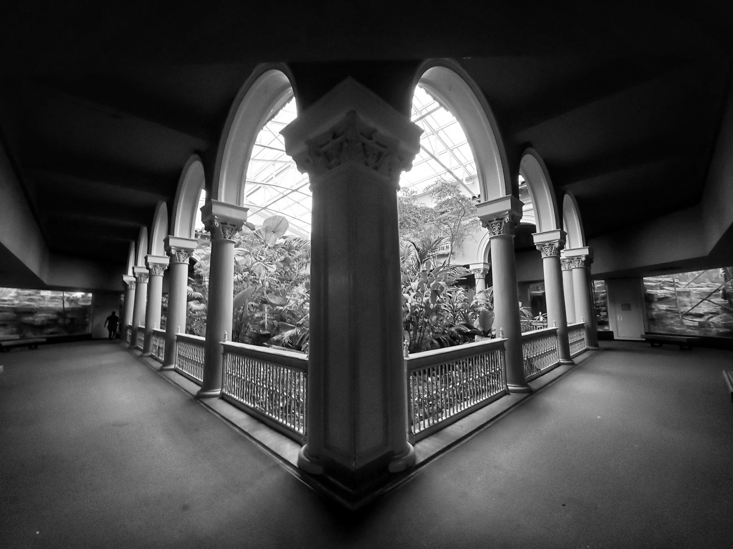 Aug. 2019 - 1925 Primate House