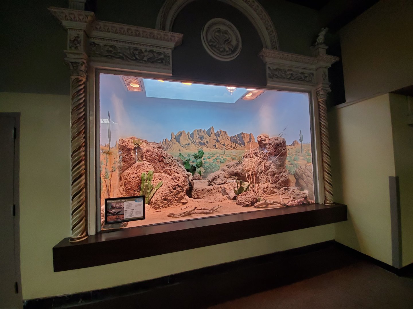 Aug. 2019 - 1927 Herpetarium - American Deserts (3 Species)