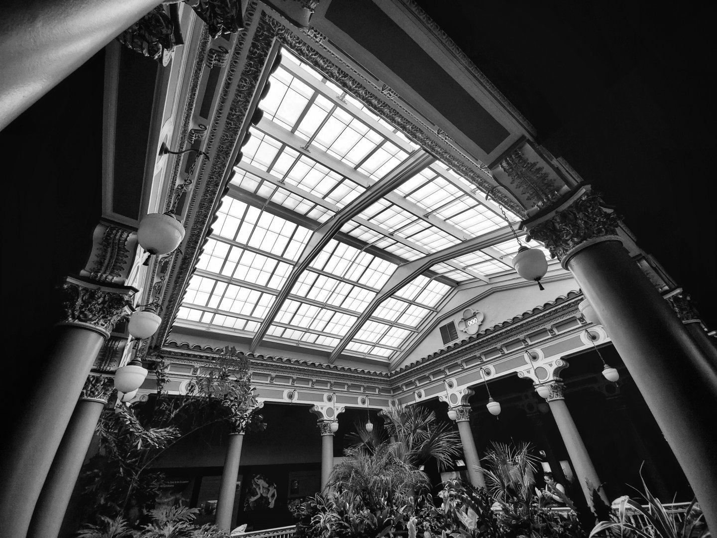 Aug. 2019 - 1927 Herpetarium - Center Garden