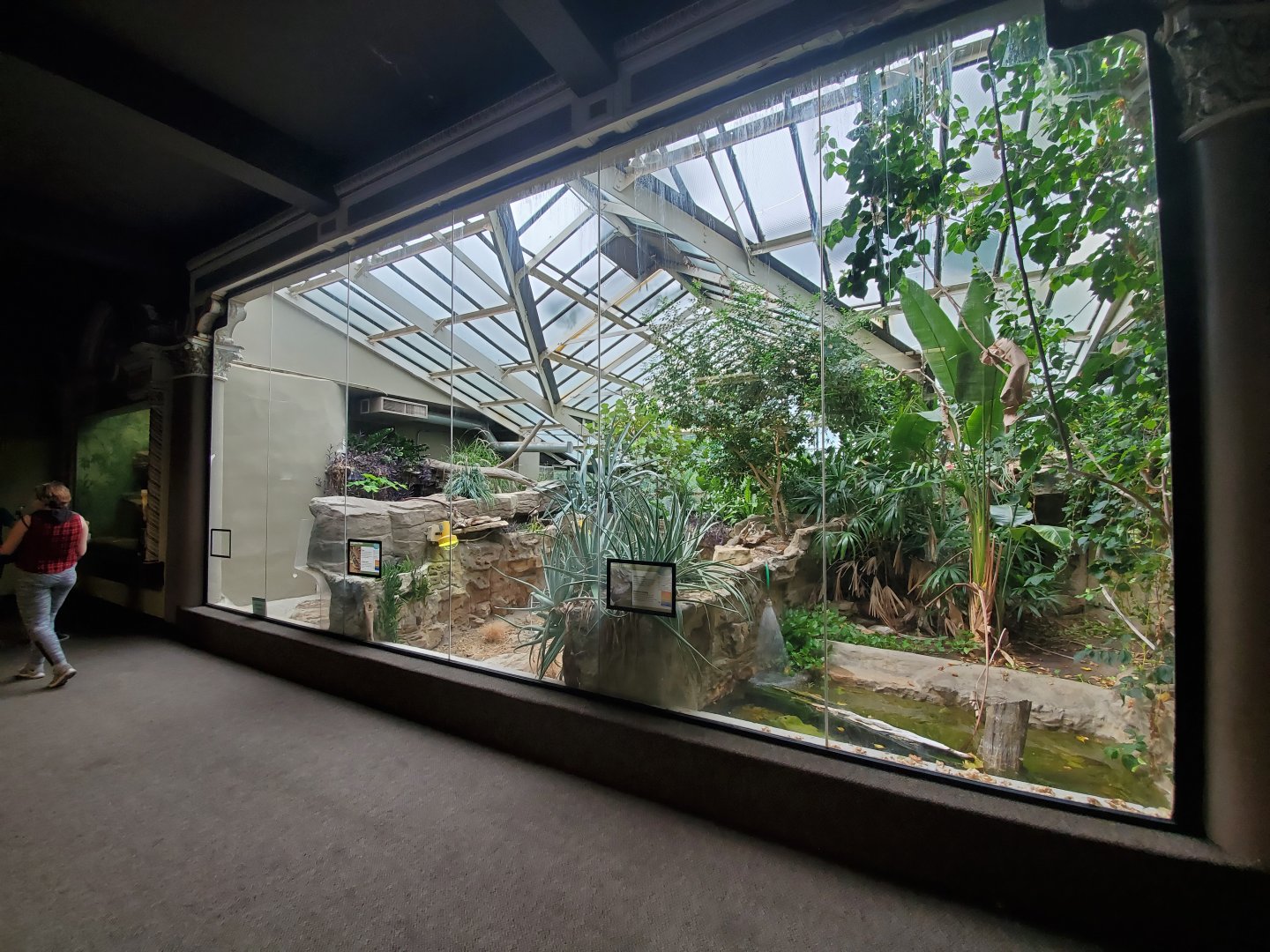 Aug. 2019 - 1927 Herpetarium - Dwarf Caiman + Shingleback Skink + [Empty/Former] Komodo Dragon Exhibit