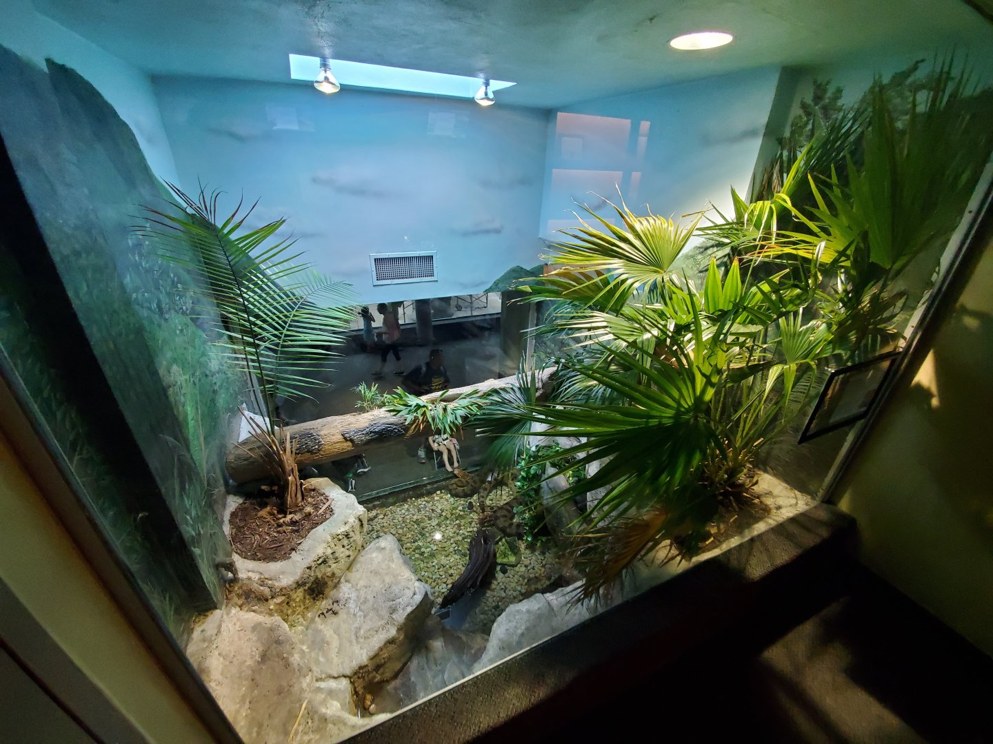 Aug. 2019 - 1927 Herpetarium - Green Anaconda Exhibit (2 Stories - Top Part)