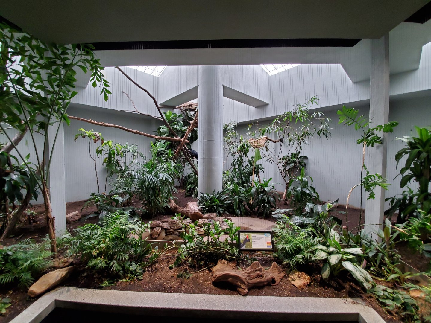 Aug. 2019 - 1930 Bird House - Another Horned Guan Exhibit