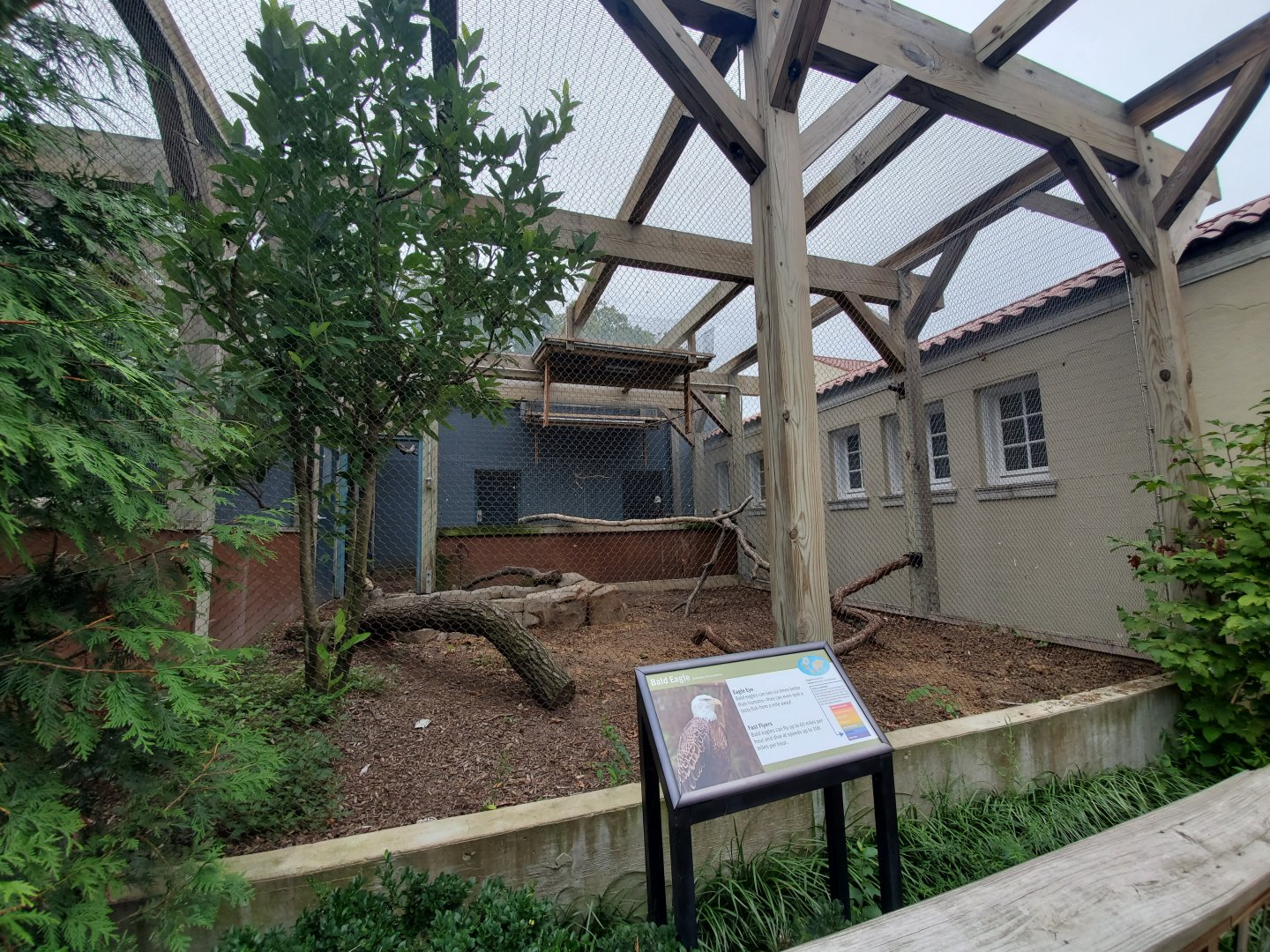 Aug. 2019 - 1930 Bird House - Bald Eagle Exhibit