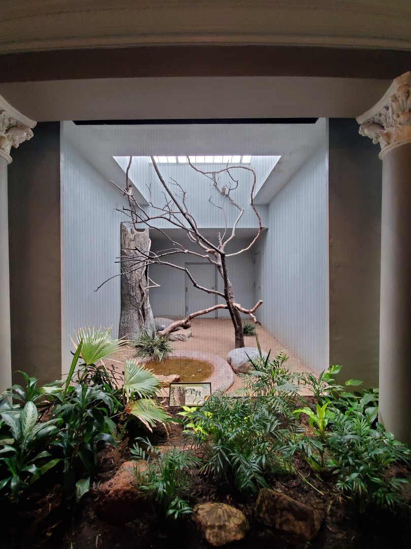 Aug. 2019 - 1930 Bird House - Burrowing Owl Exhibit